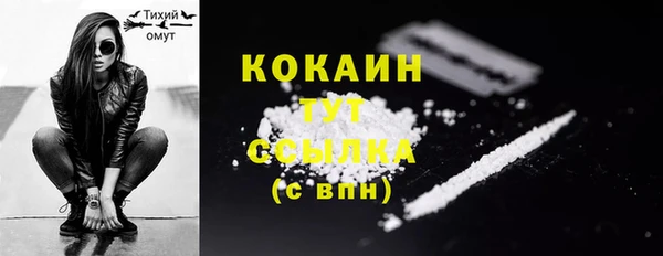 соль ск Вязьма
