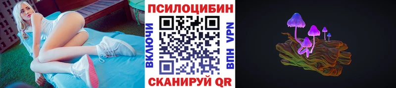 где можно купить наркотик  даркнет клад  omg как зайти  Псилоцибиновые грибы Psilocybe  Муром 