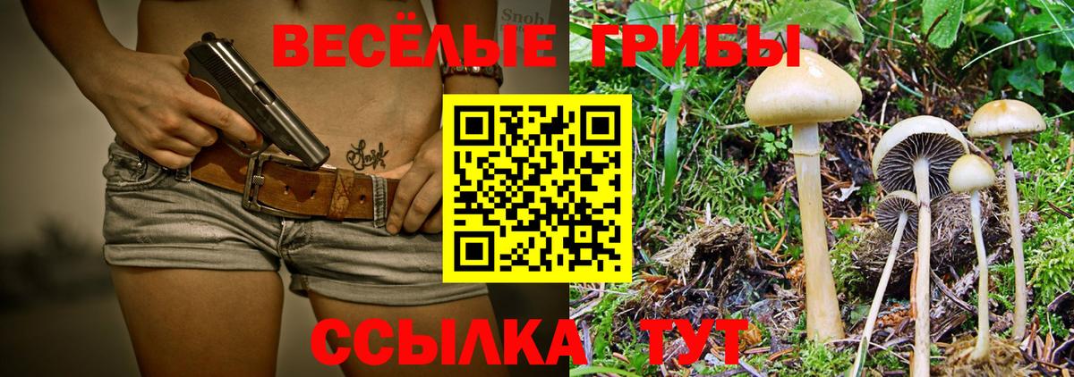Галлюциногенные грибы прущие грибы  дарнет шоп  Муром  Вход с VPN 
